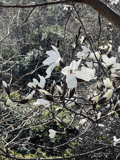 東三河ふるさと公園