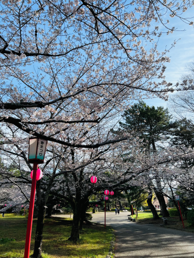 豊橋公園