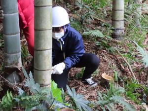 美浜町での竹林整備体験