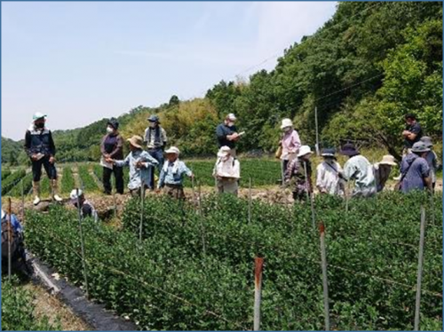 視察の様子