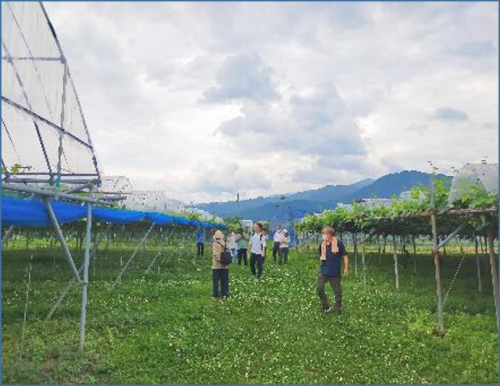 長野県果樹試験場視察の様子