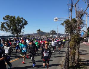 三河湾健康マラソン 10kmの部で走っているランナーの皆様