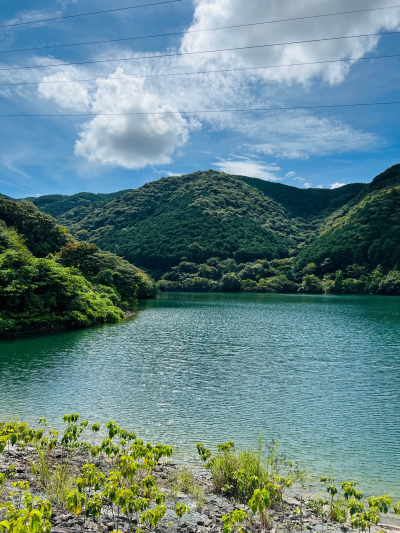 大原調整池