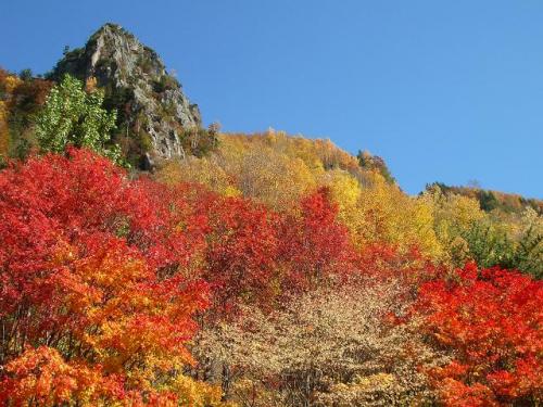 層雲峡の紅葉