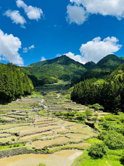 四谷千枚田