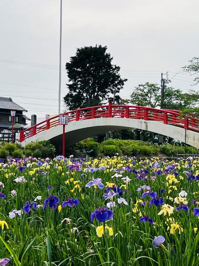賀茂しょうぶ園