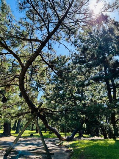 高師緑地公園