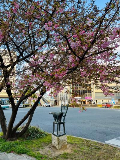 広小路通りにあるネコのオブジェ脇の河津桜
