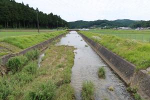 巴川の様子