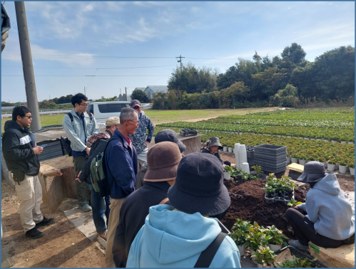 アジサイ生産者から説明を受ける組合員