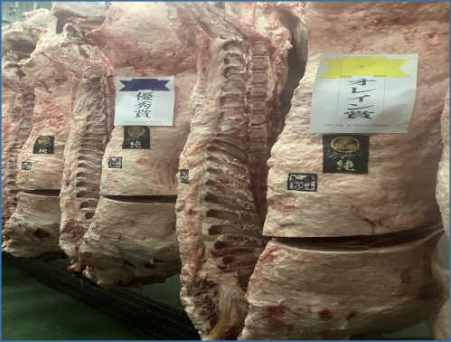 賞を獲得した源氏肥育組合出品の枝肉