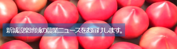 新城設楽地域の農業ニュースをお届けします。