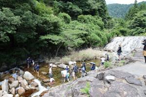 栗島川親水河川敷での川遊びの様子